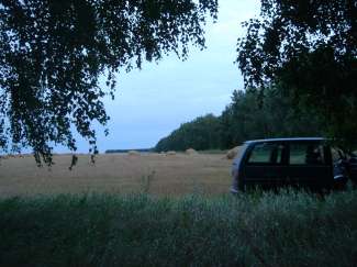 DSC05599.JPG